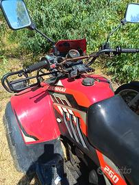 quad 260