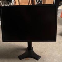 NEC MultiSync P221W-BK Monitor Professionale 22"