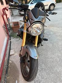 Honda hornet