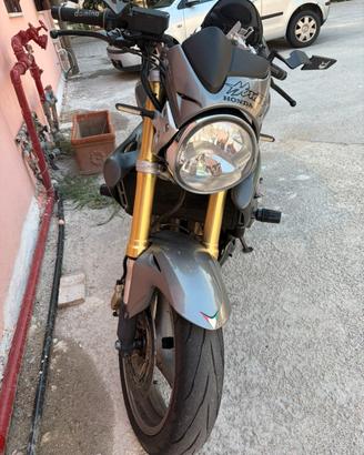 Honda hornet