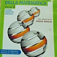 LE  BASI  CONCETTUALI  DELLA  MATEMATICA 