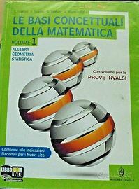 LE  BASI  CONCETTUALI  DELLA  MATEMATICA 