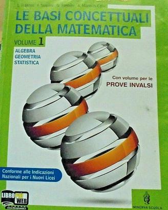 LE  BASI  CONCETTUALI  DELLA  MATEMATICA 