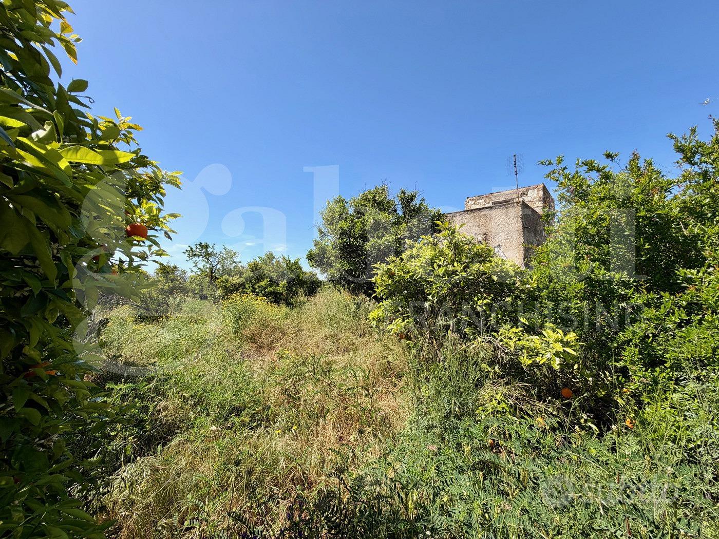 Rustico/Casale/Corte Vittoria - Vista 3