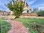 Immagine 26