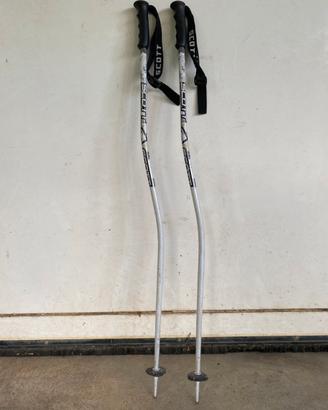 Bastoncini da sci