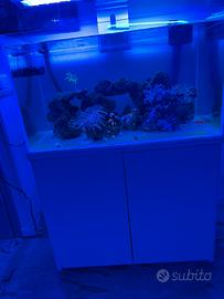 Acquario aquapet 225 litri 90x50x50