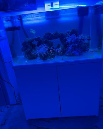 Acquario aquapet 225 litri 90x50x50