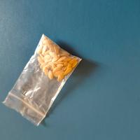 semi melone Mantovano