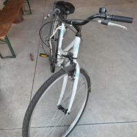 Bicicletta donna
