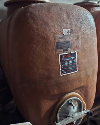 BOTTE OMNIA RESINA MAZZOTTI SRL DA 1000 LITRI