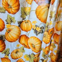 tende cucina con zucche