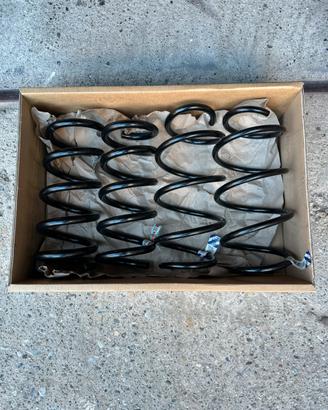 Kit molle Ford Mustang 2.3 EcoBoost 317CV