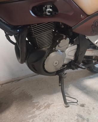 Suzuki freewind 650