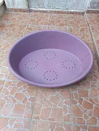 cuccia cane plastica 
