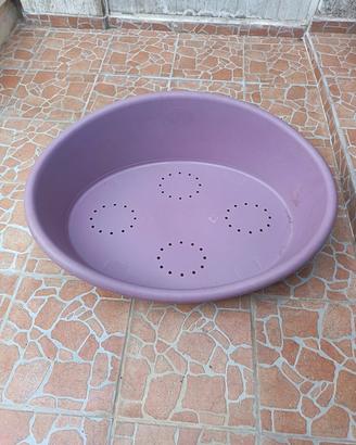 cuccia cane plastica 