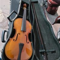 violino
