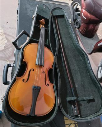 violino