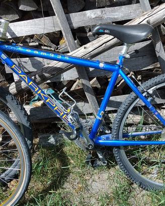 Bicicletta Parkpre