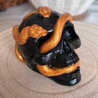 Teschio con serpente