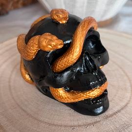 Teschio con serpente