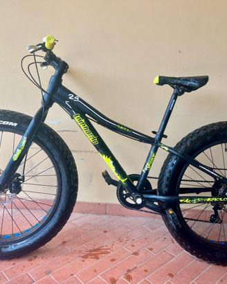 Bicicletta Fat Bike Lombardo modello Pinerolo