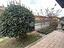 Immagine 28
