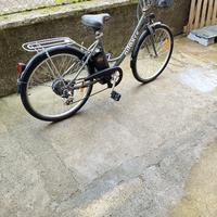 bicicletta assistita 