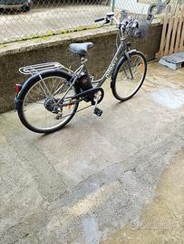 bicicletta assistita 