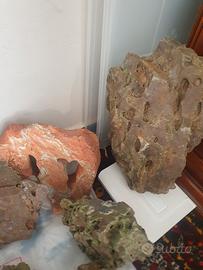 pietre lago Malawi per acquario 