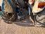 Immagine 19
