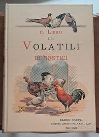 Libro antico - Hoepli 1899 Chromo