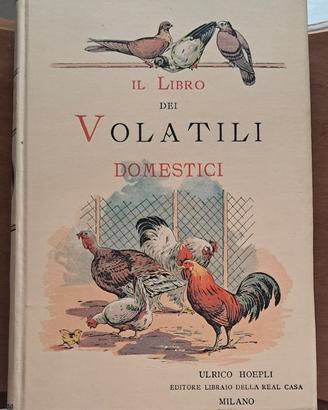 Libro antico - Hoepli 1899 Chromo
