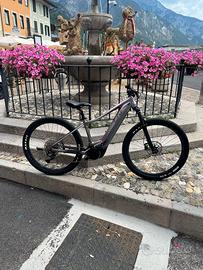 E-BIKE MTB