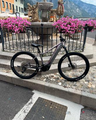 E-BIKE MTB