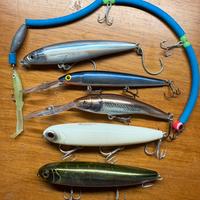 Artificiali Spinning Rapala