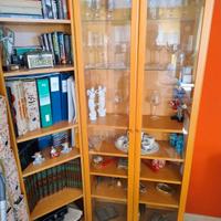 Libreria+vetrinetta 