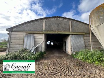 MQ 700 LADISPOLI, ZONA BORGO VACCINA,Rif.A-1007.