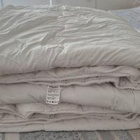 Piumone microfibra Bassetti