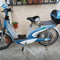 Bici elettrica