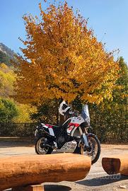 Yamaha Tenere Rally Edition 