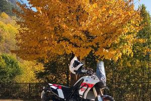 Yamaha Tenere Rally Edition 