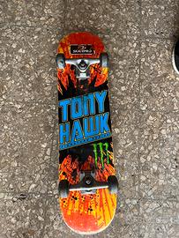 skateboard tony hawk