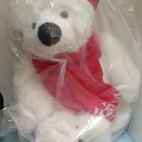 Orso CocaCola ed. limitata TRUDI