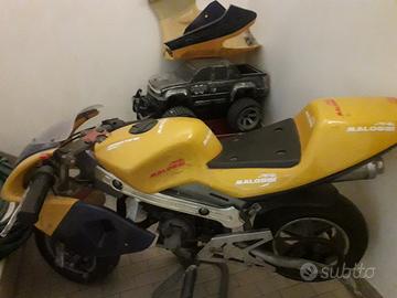 minimoto bambino 