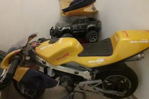 minimoto bambino 
