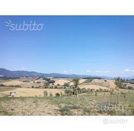 Barberino di Mugello colonica mq 450 oltre terreno