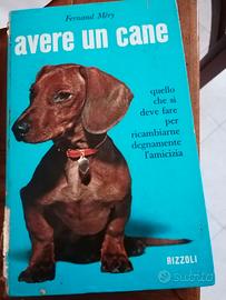 Nr 2 libri amicizia coi cani