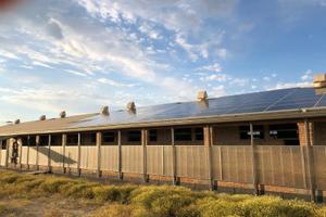 Stalla adibita ingrasso maiali