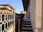 Immagine 15